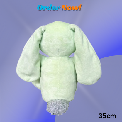 Lovely Bunny , A Sweat Birthday Gift For Your Loved One.